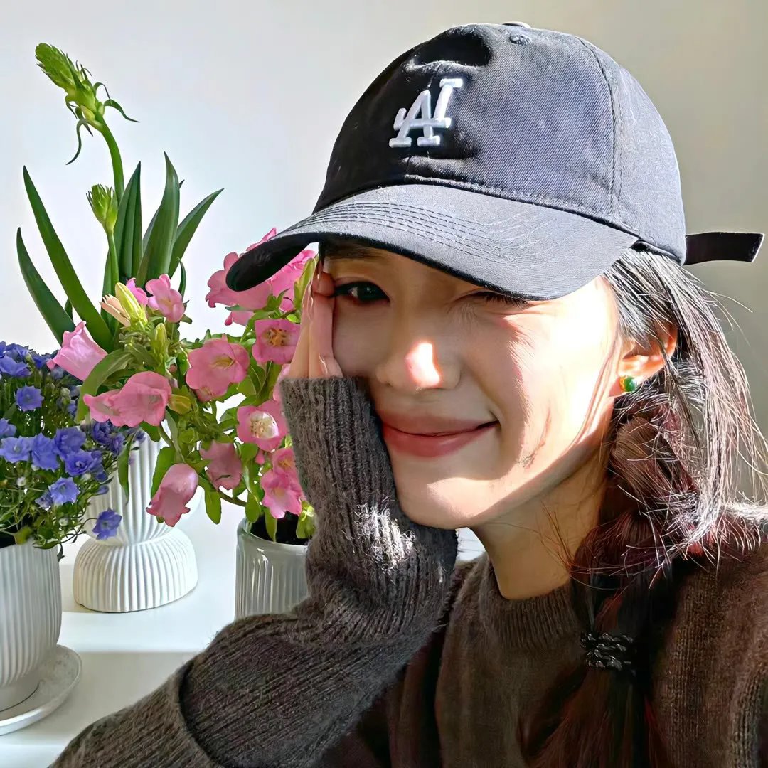当猪起飞